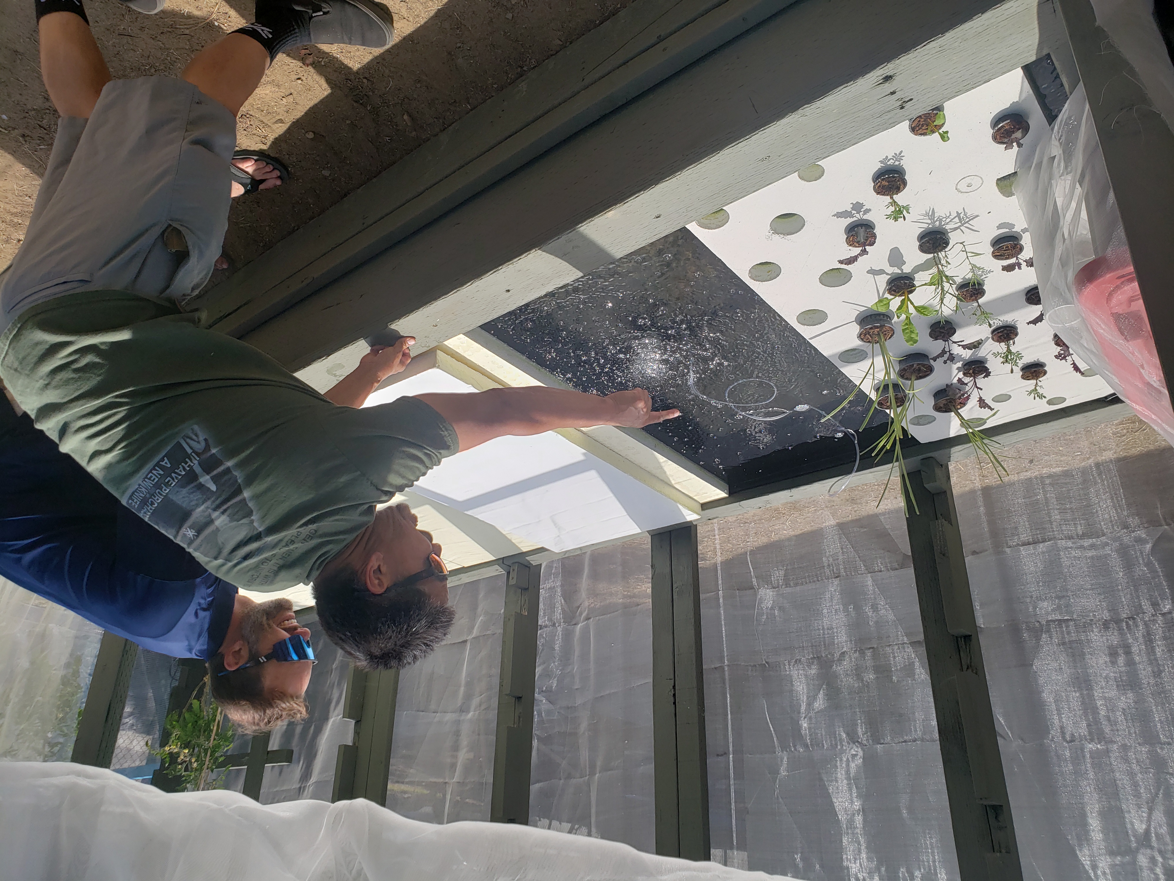 Joel points at the aquaponics growing bin as Michael looks on. Many small plants are growing atop the aquaponics water where fish swim below